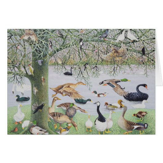 The Odd Duck Cards (Front Horizontal)