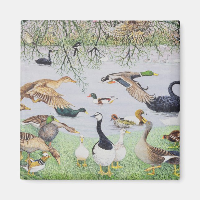 The Odd Duck Magnet (Front)