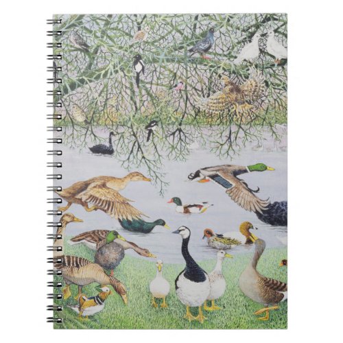 The Odd Duck Notebook