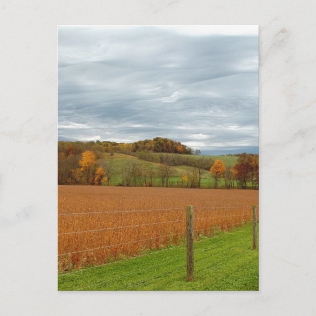 The Ohio Valley Postcard (Front)