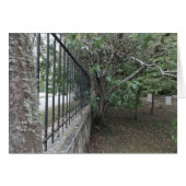 The Old Burying Ground (Front Horizontal)