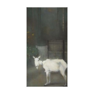 Farm Goat Canvas Art & Prints