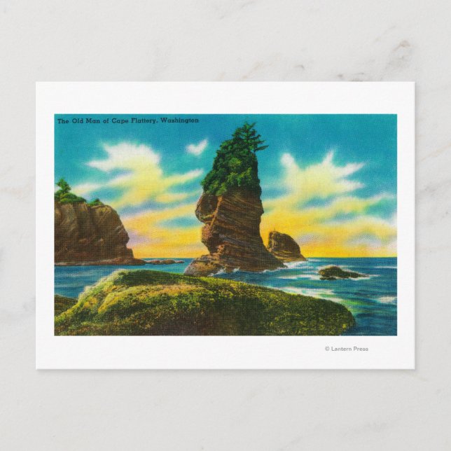 The Old Man of Cape Flattery, WA Postcard (Front)