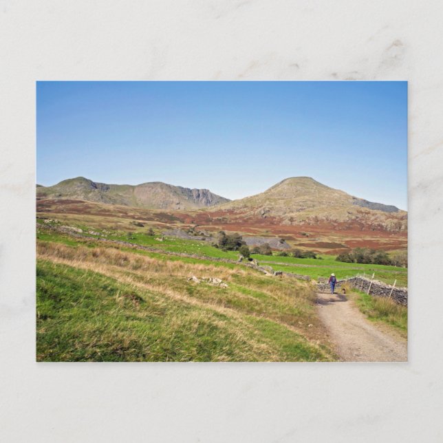The Old Man of Coniston Postcard (Front)