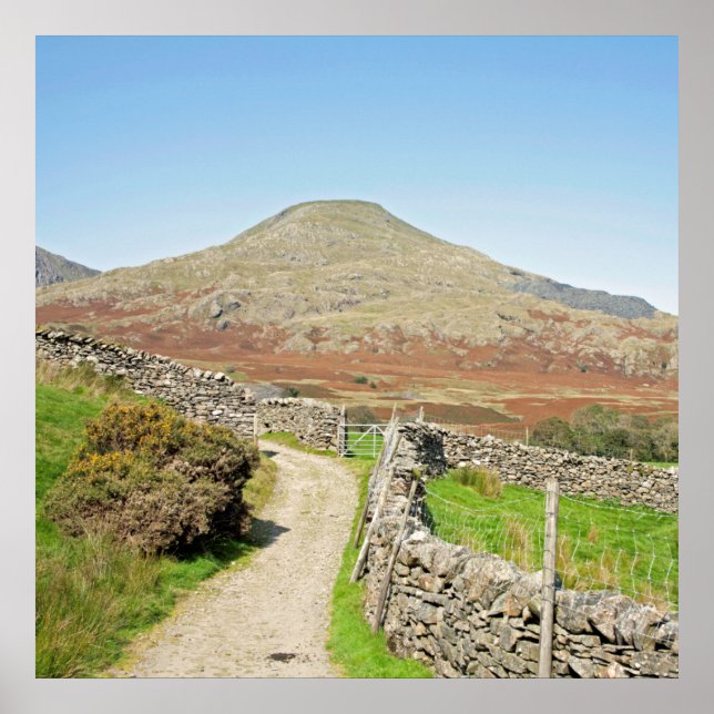 The Old Man of Coniston Postcard Cushion Poster (Front)