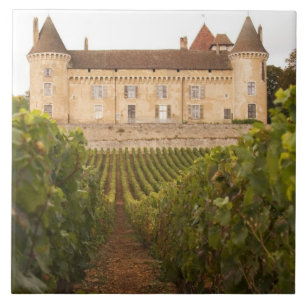 The old medieval Chateau de Rully in the Cote Tile