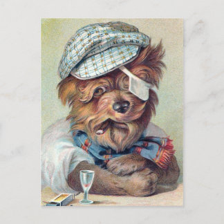 "The Old Rascal" Vintage Dog Postcard