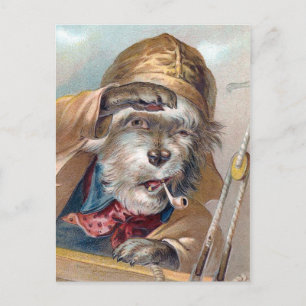 "The Old Sea Dog" Vintage Postcard