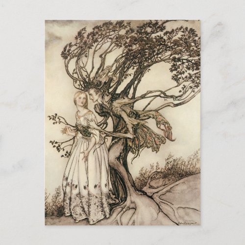 The Old Woman in the Wood by Arthur Rackham Postcard