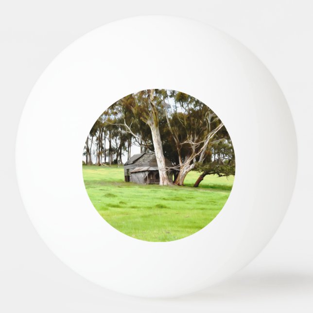The Old Wooden Shack Ping Pong Ball (Back)