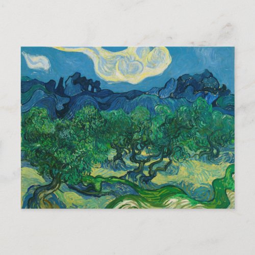 The Olive Trees with Alpilles Vincent van Gogh Postcard