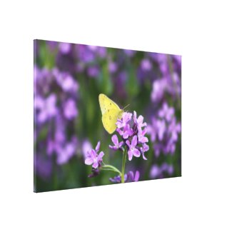 The One That Stands Out Butterfly Photography Art Canvas Print