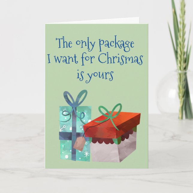 The only Package I want For Christmas Is Yours Holiday Card (Front)