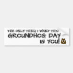 The only thing I want this Groundhog Day is you! Bumper Sticker