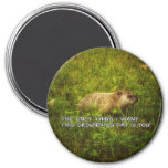 The only thing I want this Groundhog Day magnet