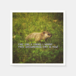 The only thing I want this Groundhog Day napkins