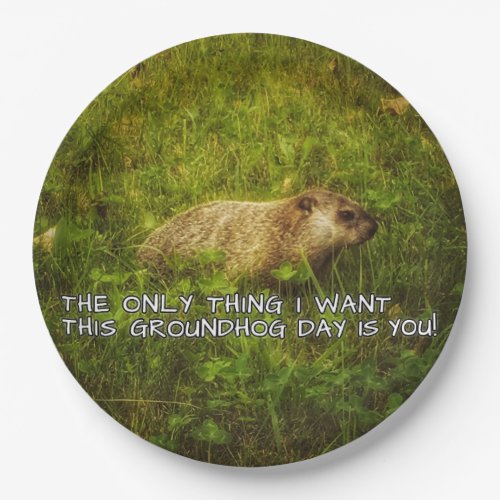 The only thing I want this Groundhog Day plates