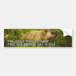 The only thing I want this Groundhog Day sticker