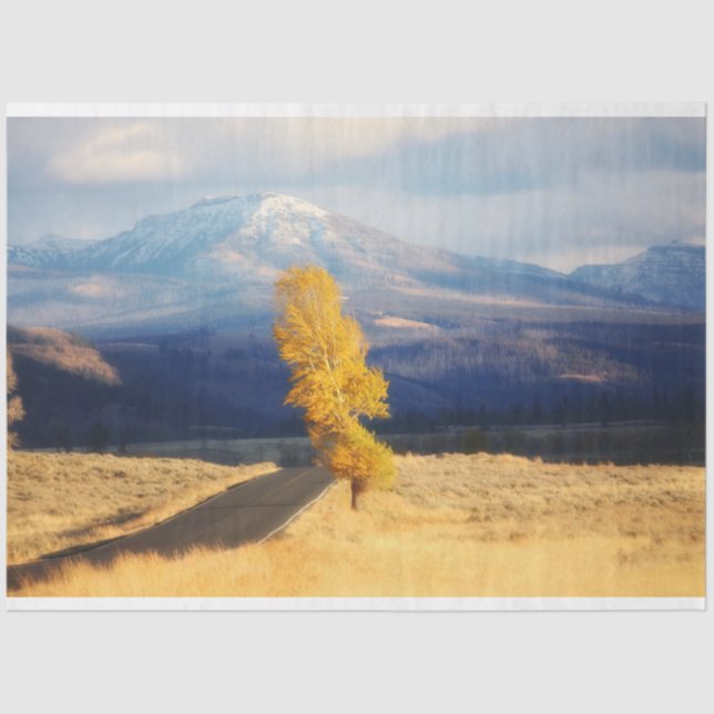 The Open Road Tissue Paper (Front)