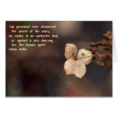 The Optimist (Front Horizontal)