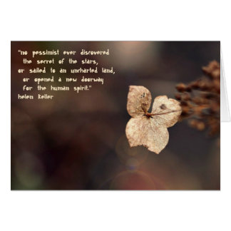 The Optimist Cards