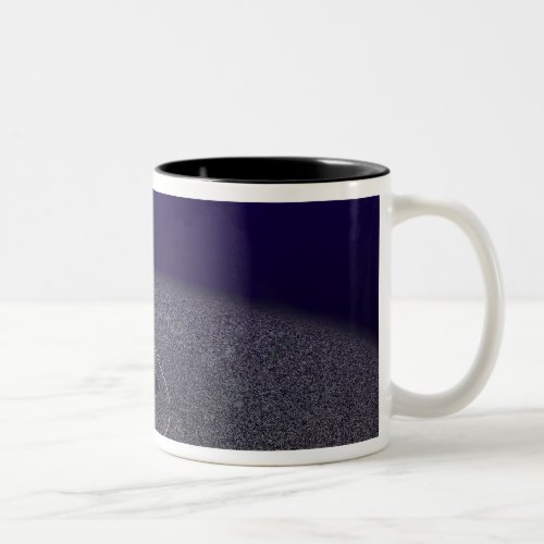 The orbit of the binary Kuiper Belt object Two_Tone Coffee Mug