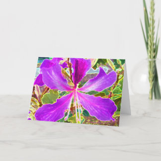 The Orchid Tree Holiday Card