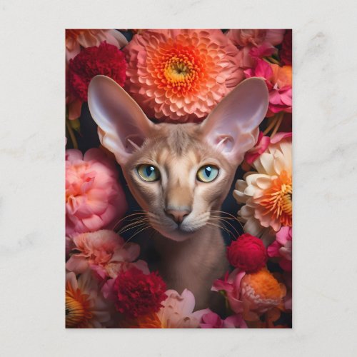 The Oriental Shorthairs Enchanted Oasis Postcard