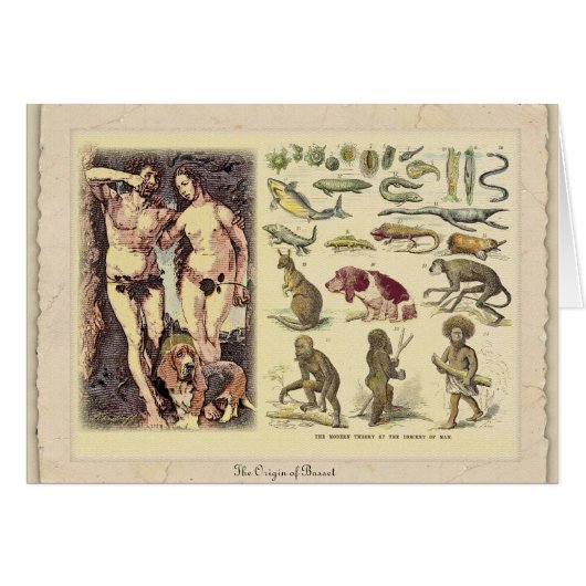 The Origin of Basset Cards (Front Horizontal)