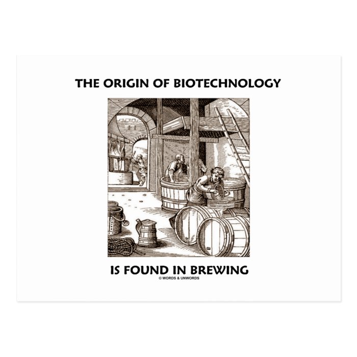 The Origin Of Biotechnology Is Found In Brewing Post Card