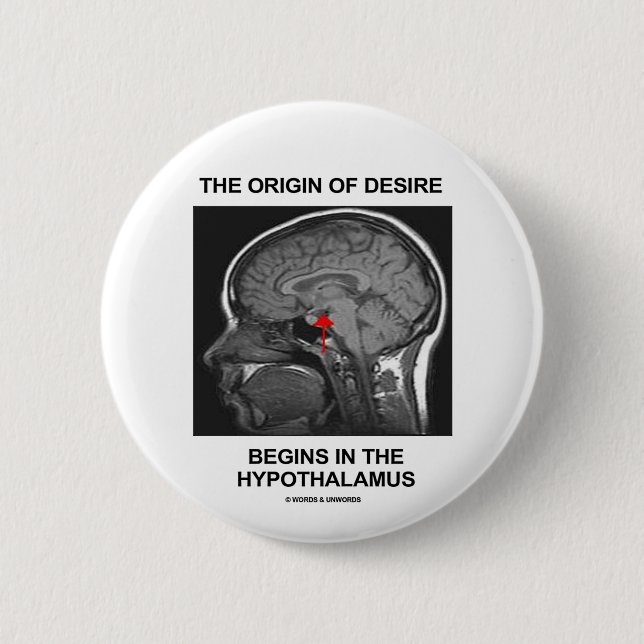 The Origin Of Desire Begins In the Hypothalamus Button (Front)