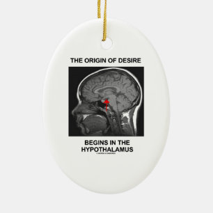 The Origin Of Desire Begins In the Hypothalamus Ceramic Ornament