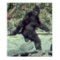 THE ORIGINAL 1967 BIGFOOT SASQUATCH PHOTO