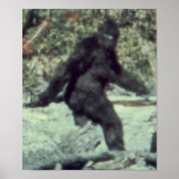 Sasquatch Vntage Bgfoot' Poster, pcture, metal prnt, pant by Phl