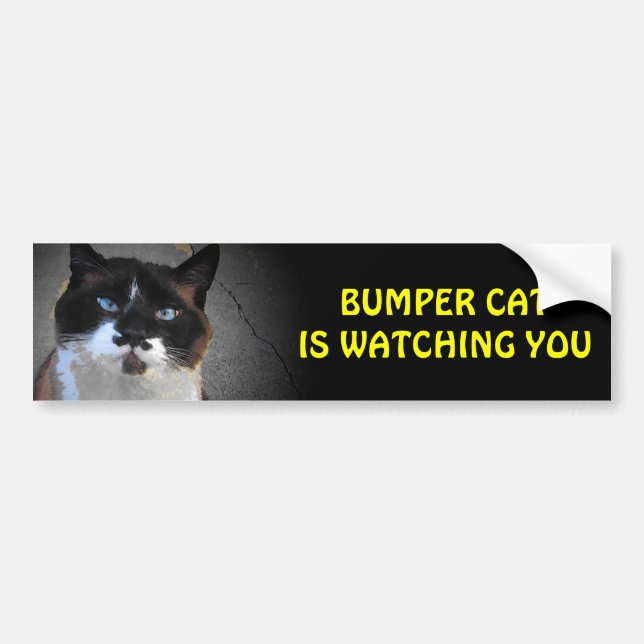 The Original Bumper Cat is watching Bumper Sticker (Front)