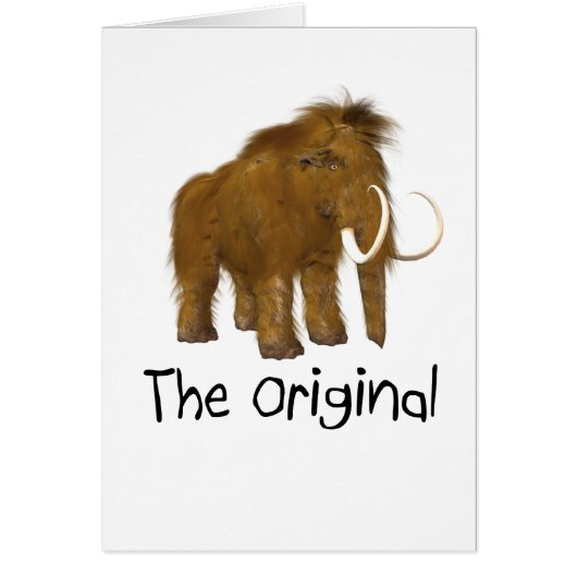 "The Original" Cards (Front)