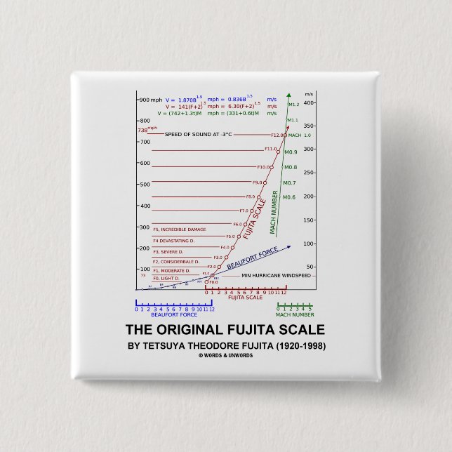 The Original Fujita Scale Tetsuya Theodore Fujita Button (Front)