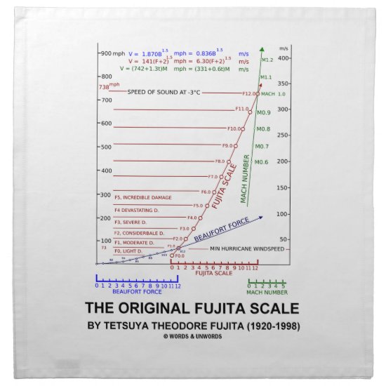 The Original Fujita Scale Tetsuya Theodore Fujita Cloth Napkin