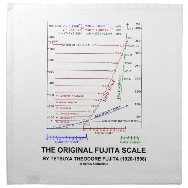 The Original Fujita Scale Tetsuya Theodore Fujita Cloth Napkin (Front)