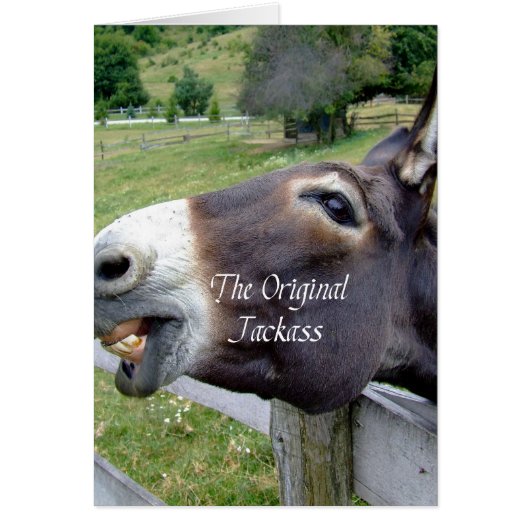 The Original Jackass Funny Donkey Mule Farm Animal (Front)