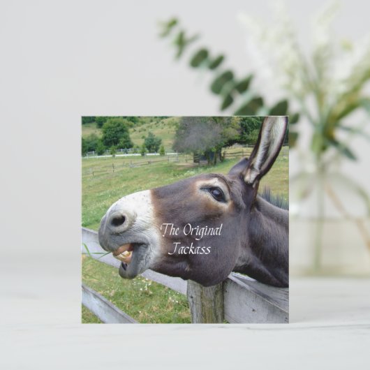 The Original Jackass Funny Donkey Mule Farm Animal (Standing Front)