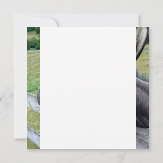 The Original Jackass Funny Donkey Mule Farm Animal (Back)