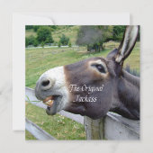 The Original Jackass Funny Donkey Mule Farm Animal (Front)
