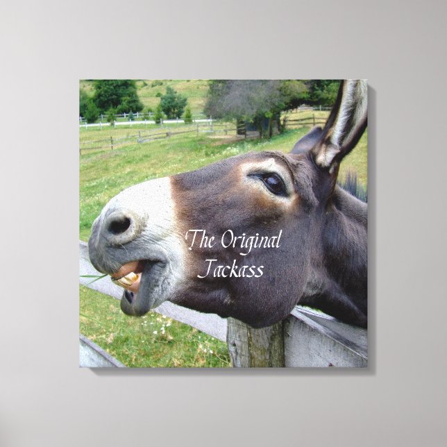 The Original Jackass Funny Donkey Mule Farm Animal Canvas Print (Front)