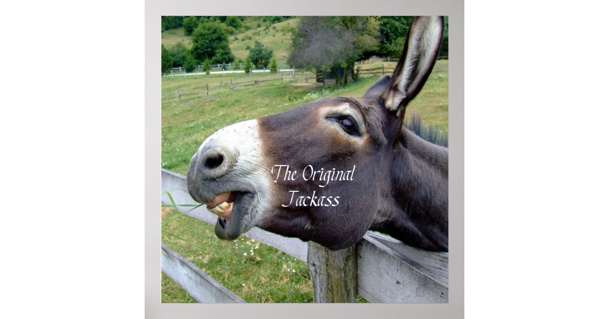 The Original Jackass  Funny Donkey Mule Farm Animal Poster 