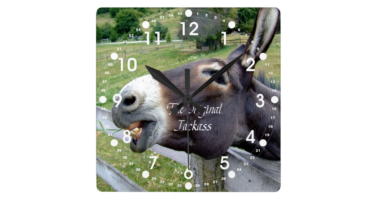 The Original Jackass  Funny Donkey Mule Farm Animal Square 