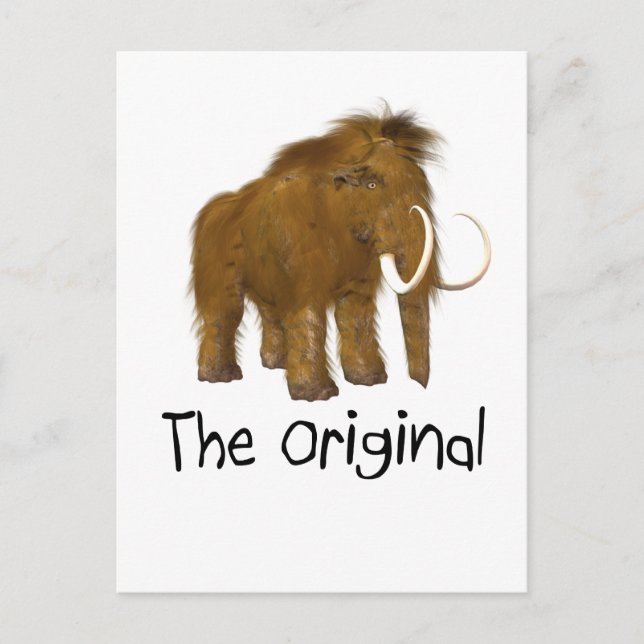 "The Original" Postcard (Front)