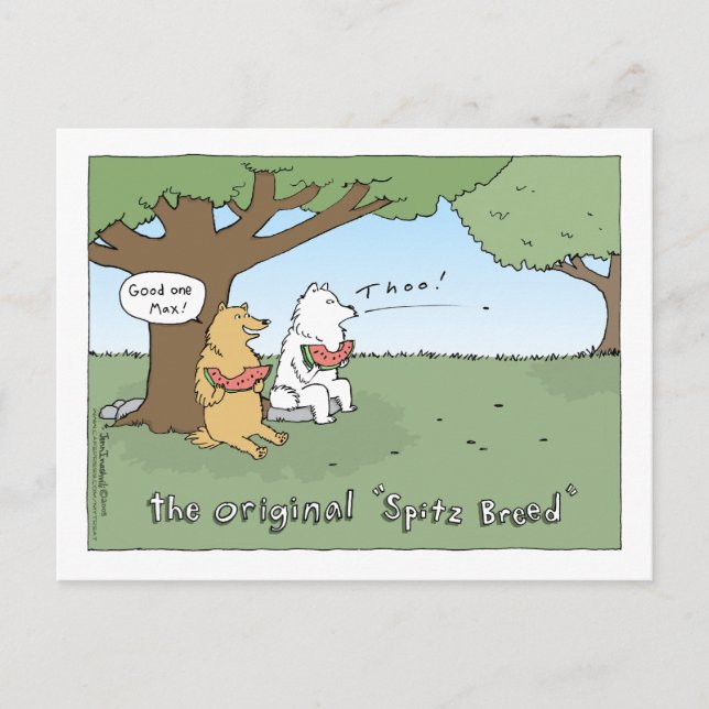 The Original "Spitz Breed" Cartoon Postcard (Front)