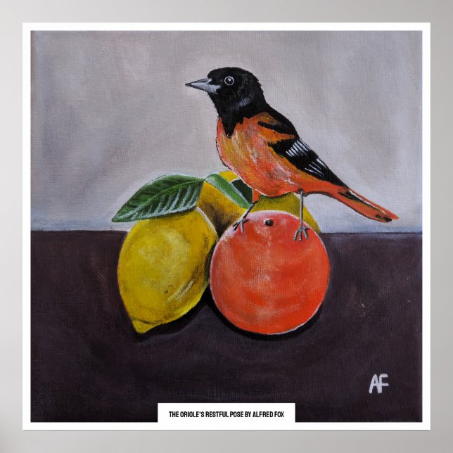 The Oriole's Restful Pose Painting by Alfred Fox Poster (Front)