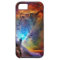 The Orion Nebula
